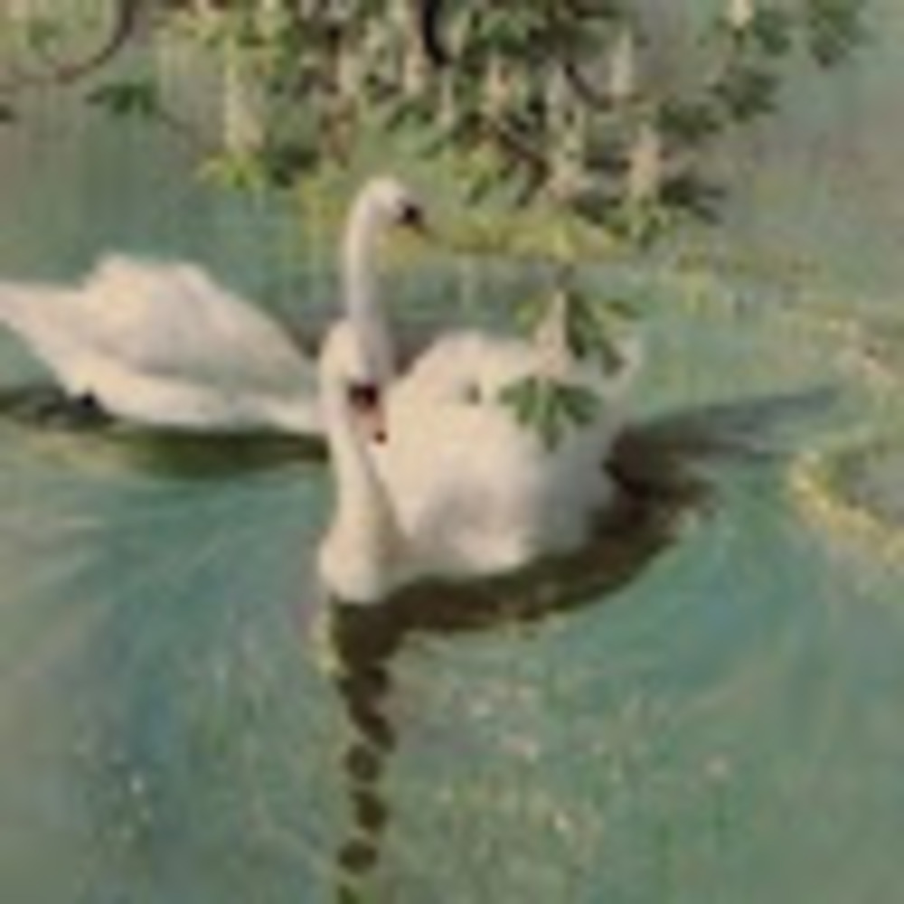 Meet your Posher, Anne marie